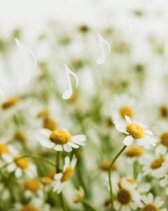Quelle: Christina Mateis / Canva